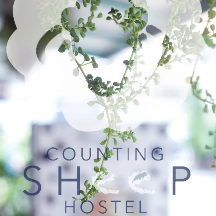 Counting Sheep Hostel