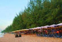 The BEACH CHA AM Guesthouse