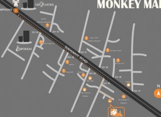 Monkey Nap Hostel