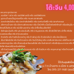 โต๊ะจีน 4000