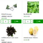 sep freshmart ส่งผักสด อาหารสด ราคาถูก 4