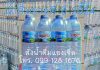 หาน้ำดื่มขายดี ปี 2024 สั่งน้ำดื่มแองเจิล ปทุมธานี หาน้ำดื่มขายดี ปี 2024 น้ำดื่มแองเจิล ปทุมธานี ขายดี