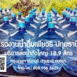 โรงงานน้ำดื่มถังใหญ่ บริการส่งน้ำถังถึงสำนักงาน บริษัท นิคมอุตสาหกรรม น้ำดื่มตราเพียวริ โรงงานคุณภาพมาตรฐาน GHPs HACCP บริการส่งน้ำถังใหญ่ ขนาด 18.9 ลิตร