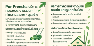 🌿 Por Preecha บริการครบวงจร งานสวน ทำความสะอาด ดูแลบ้าน รับตัดหญ้า แต่งสวน