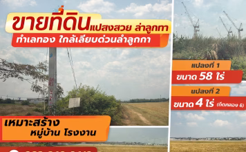ประกาศขายที่ดินแปลงสวย ทำเลทอง ลำลูกกา – โอกาสลงทุนที่ไม่ควรพลาด ขายที่ดิน