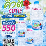 น้ำดื่มคิวตี้ ขายดี ขายเพลิน น้ำดื่มยอดนิยมจากโรงงานสมุทรสาคร พร้อมส่งทั่วกรุงเทพ ปริมณฑล น้ำดื่มขายดี สมุทรสาคร