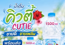 น้ำดื่มคิวตี้ ขายดี ขายเพลิน น้ำดื่มยอดนิยมจากโรงงานสมุทรสาคร พร้อมส่งทั่วกรุงเทพ ปริมณฑล น้ำดื่มขายดี สมุทรสาคร