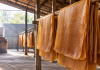 Bangkok Export: Your Trusted Exporter & Sourcing Partner from Bangkok, Thailand Bangkok export